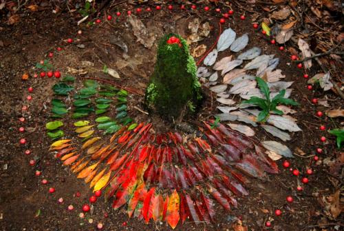 Ephemera in the Mist - organic display